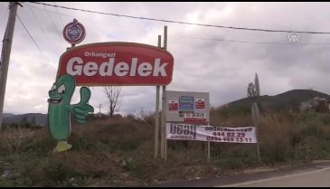 Bursa'daki "Turşucu köy" ihracatta hedef büyüttü