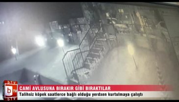 5 aylık köpeği cami avlusuna bırakır gibi veteriner bahçesine bıraktılar