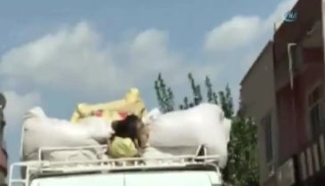 Keçi valiz gibi taşındı