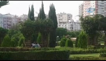 Parkta pes dedirten olay! Kimsede huzur bırakmadı...