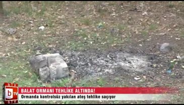 Balat Ormanı tehlikede!