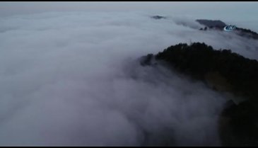 Karadeniz'de sis denizi