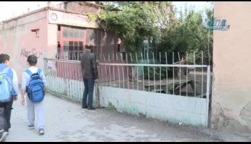 Bursa'da çocuğa saldıran köpekler sahipli çıktı