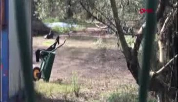 Bursa İznik'te korumaya alınan alanda 1 lahit daha bulundu