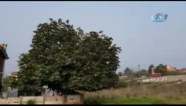 Yalova'da üç katlı villaya Kaşıkçı baskını
