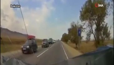 Otomobil yola çıkan ineğe çarptı