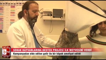 Bursa'da başlatılan proje ilk meyvesini verdi