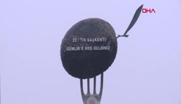 Bursa'da zeytinciler taban fiyatlarının 10 kuruş artırılmasına tepki gösterdi