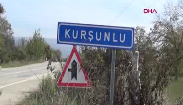 Bursa'da 'Kırmızı elmas'ta yılın son hasadı başladı