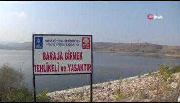 Bursa'da karnabahar, lahana ve brokolide rekolte sevinci