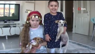 Bursa'da ölüme terk edilen yavru köpeklere çocuklar sahip çıktı