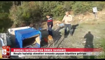 Bursa'dan topladığı ekmekleri dağdaki hayvanlara götürüyor (ÖZEL HABER)