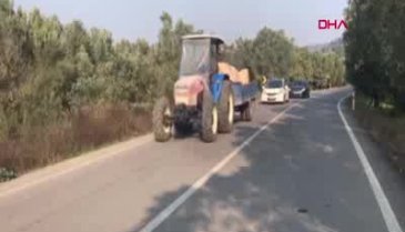 Bursa İznik'te lahitten çıkarılan mumyalanmış cesetlerle ilgili yeni gelişme