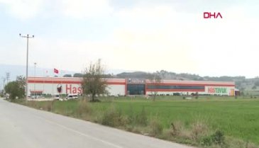Japonların tavukta tercihi Bursa oldu