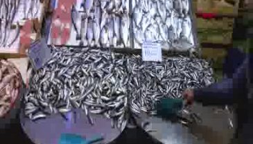 Bursa'da balık fiyatları düştü, esnaf ve müşteri mutlu