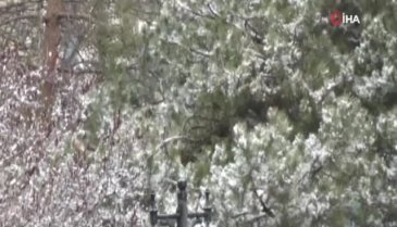 Ardahan güne karla uyandı