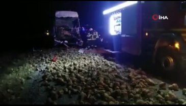 Tır önündeki tıra arkadan çarptı: 2 yaralı