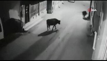 Bursa'da akılalmaz kaza kamerada!