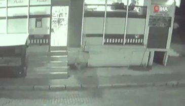 Pitbull dehşeti kamerada