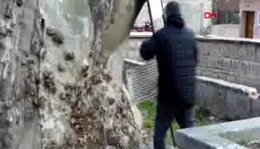 Bursa'da çınar yıkılmasın, diye dallarını itfaiye hortumuyla bağladılar