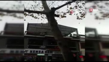 Bursa'da mahsur kalan kedi için itfaiye seferber oldu
