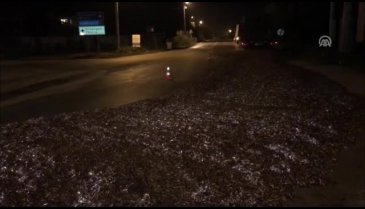 Bursa'da TIR'ın dorsesinin kapağı açıldı tonlarca hamsi yola döküldü