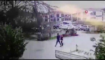 Devrilen ağaçtan kıl payı kurtuldular