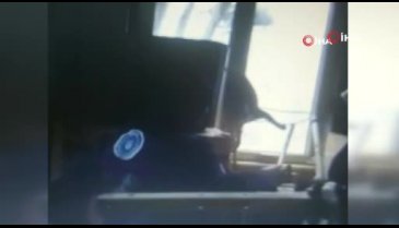 Bursa'da pencereye sıkışan kedi saatlerce kurtarılmayı bekledi