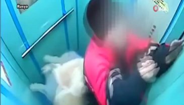 Sahibinin dikkatsizliği az daha canından ediyordu