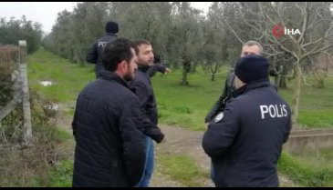 Bursa'da çiftçinin alın terini çaldılar