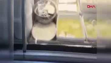Şarküteri dolabında fare şoku!