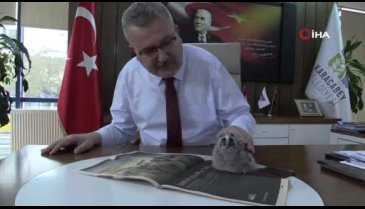 Bursa'da yavru baykuş belediye başkanının maskotu oldu