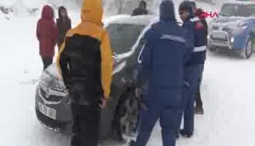 Bursa'da otomobilin altında kalan sokak köpeğini, jandarma kurtardı