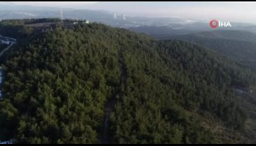 Bursa'nın en güzel ormanlarında çevre felaketi yaşandı
