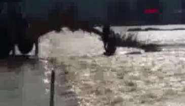 Her şeyden habersiz yola çıktı... Canını zor kurtardı