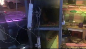 Bursa'da mahalle arasında şov yaparken akvaryumcuya daldı! -3