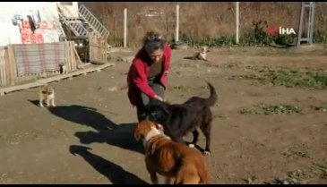 Bursa'da doğuştan iki gözü olmayan köpeğe bebeği gibi bakıyor