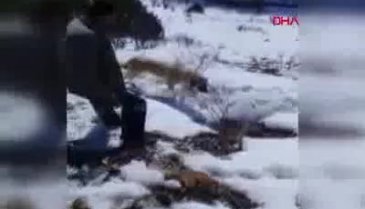 Ayı saldırısından son anda kurtuldular