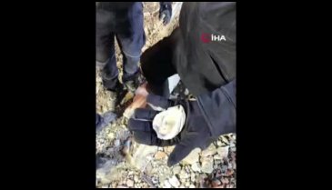 İşte enkazdan çıkan deniz kabukları