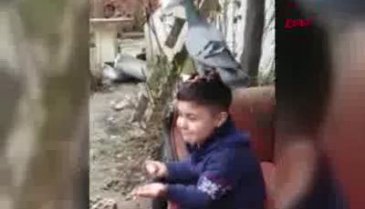 Bursa'da 7 yaşındaki Cemal'in güvercin sevgisi