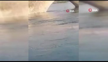 Pes dedirten olay! Kız çocuğu köprüden atlayıp kayboldu onlar fotoğraf çektirdi