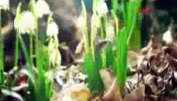 Dünyada bir ilk olacak! Suriyeli sığınmacı kadınlarla hazırladı