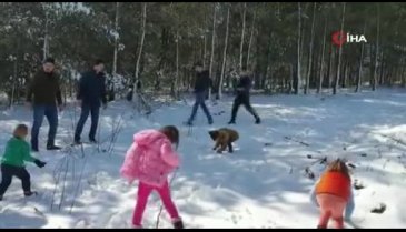 Bursa İznik'te Uludağ'ı aratmayan görüntüler