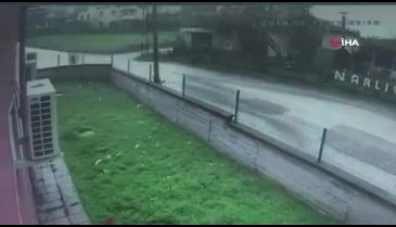 Horozla çocuk arasında güldüren kovalamaca