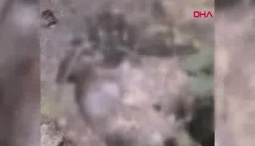 İnsanlık dışı olay! "Bazılarının üzerinden hala duman çıkıyordu"