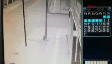 Menderes Türel'in eşi Ebru Türel trafik kazası geçirdi