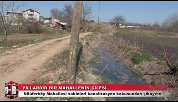 Bursa'nın o mahallesinde muhtara tepki! Yıllardır bıktılar (ÖZEL HABER)