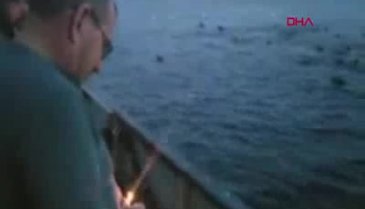 Balıkçıların, deniz aslanlarını ses fişeğiyle korkutması tepki çekti