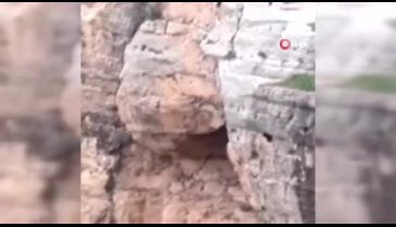 Fotoğraf çekmek için yaptıkları hareket pes dedirtti