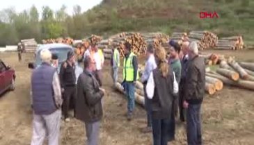 Bursa'da biyokütle enerji santralinde yürütmeyi durdurma kararı